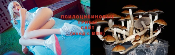 мескалин Вязники