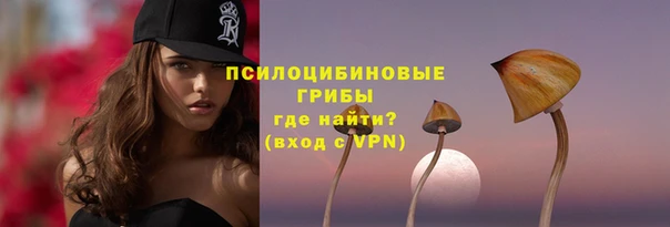 бошки Вяземский