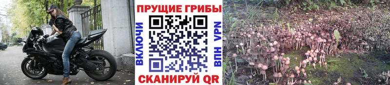 нарко площадка Telegram  где купить наркоту  Петров Вал  Псилоцибиновые грибы Psilocybe 